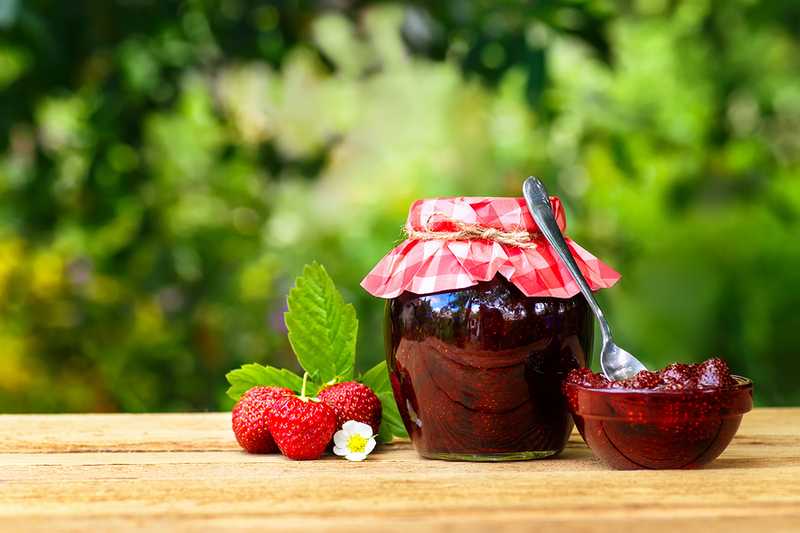 Treats on a table backdropped by greenery