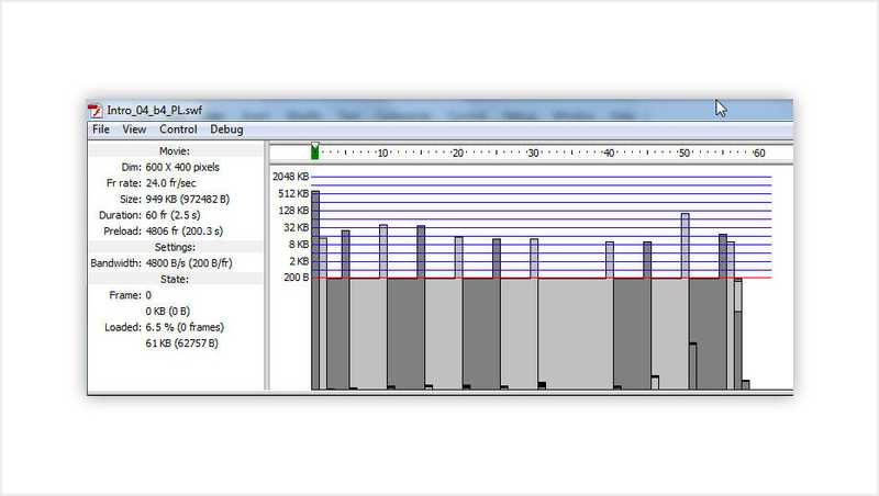 Flash Bandwidth Profiler