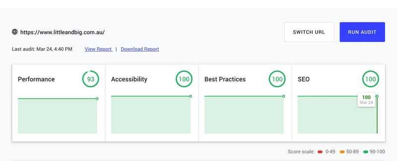 Little and Big Website Performance